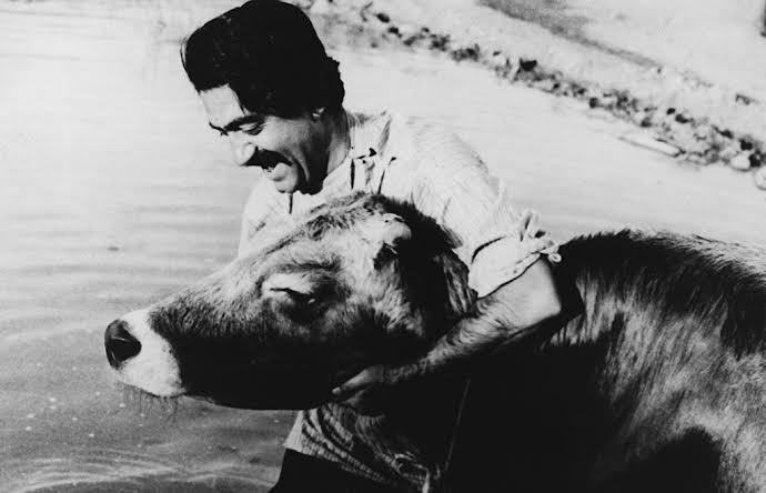 The Cow (1969)